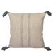 Ardenmead Cushion Covers 18X18 Cotton in Blue | 18 H x 18 W in | Wayfair AHI-21-CC-56_Sky Blue