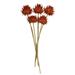 Vickerman 15" Artichoke Head w/ Reed Stem, Dried Artichoke Arrangement Preserved in Red/Orange | 15 H x 3 W x 2 D in | Wayfair H1ARS750-9