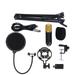 Fyearfly Condenser Microphone Kit BM800 Studio Condenser Microphone Arm Stand Poping Filter Foam Capes Kit Record Accessory Professional Cardioid Studio Mic Kit