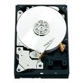 WD RE 2 TB Enterprise Hard Drive: 3.5 Inch 7200 RPM SATA III 64 MB Cache (WD2000FYYZ) (Old Model)