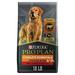 Purina Pro Plan Savor Adult Beef and Rice Shredded Blend Recipe Dry Dog Food 18 lb.