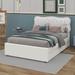 Red Barrel Studio® Jerian Upholstery Platform Bed w/ Drawers & Trundle Metal in White | 44.1 H x 55.9 W x 78.7 D in | Wayfair