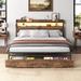 17 Stories Corio Metal Bookcase Bed Metal in Brown | 44.09 H x 62.01 W x 86.22 D in | Wayfair 443737D7E29D4514B63B63AFB97F3D08