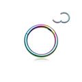 Implant Grade Titanium PVD Colorline Basic Seamless Hinged Clicker Hoop Ring-Rainbow