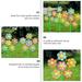 Six-wheeled Windmill Toy 5PCS Plastic Six-wheeled Windmill Toy Cartoon Colorful Windmill Toy Outdoor Garden Decoration for Kids Playing (Random Color)