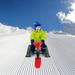 Snow Racer Sled W/ Flexible Steering Wheel & Brakes Kids Adult Snow Slider Ski Sled Slider Board