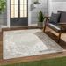 Canadian Outdoor Rug - Outsite Porch Patio Area Rug Carpet - Oriental Medallion Waterproof Rug - Gray Beige Cream - 4 3 X 5 11