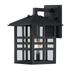Westinghouse Lighting 6123100 Caliste Outdoor Wall Fixture with Dusk to Dawn Sensor Black