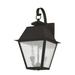 3 Light Outdoor Wall Lantern in Coastal Style 12 inches Wide By 23 inches High-Bronze Finish Bailey Street Home 218-Bel-1119437