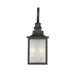 4 Light Outdoor Wall Lantern-Modern Farmhouse Style with Rustic and Transitional Inspirations-34.5 inches Tall By 13 inches Wide-English Bronze Finish