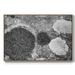 17 Stories Found Textures XIX Premium Framed Canvas- Ready To Hang Canvas, Solid Wood in Gray | 17" H x 25" W x 2" D | Wayfair