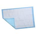 Dog Cushion Dog Pads Peepee Pads Puppy Pee Pads Puppy Pads Pet Training Urine Pad Puppy Training Pads Pet Pads