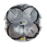 Emsco Group ESP 26 In. Disc Sled Arctic Camo