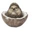 4.25” Hedgehog with Coconut Outdoor Garden Statue