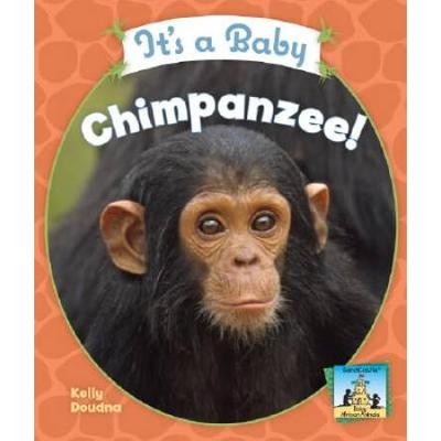 Its a Baby Chimpanzee