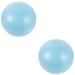 2 Pieces Pilates Ball Back Exercise Workout for Stability Home Portable Pvc Fitness