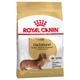 Royal Canin Dachshund Adult - 1.5kg