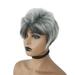 Teissuly Natural Light Gray Straight Short Hair Wigs Short Women s Fashion Wig New