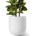 BEMAY 12 inch Ceramic Plant Pots Morden Indoor Planter for Home Ofiice Large Planter Pots with Drainage Hole and Plug White