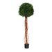 HomeStock 5.5Ft. English Artisanal Artistry Single Ball Artificial Topiary Tree With Trunk Uv Resistant (Indoor/Outdoor)