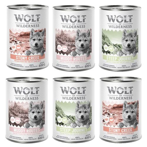 6 x 400 g Junior Mixpaket Wolf of Wilderness getreidefreies Hundefutter nass