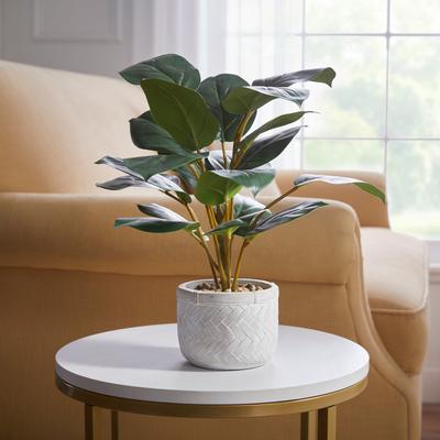 18"H Faux Tabletop Rubber Plant by BrylaneHome in Green