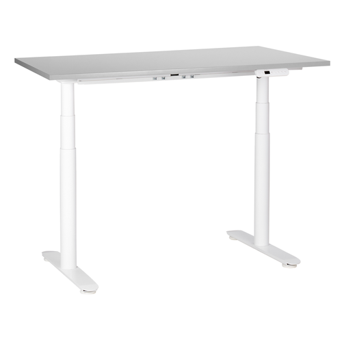 Schreibtisch Grau/Weiß Melamin 120x72cm Elektrisch Höhenverstellbar Rechteckig mit USB Rundes Metallgestell Modern Büro Steh-Sitz-Tisch