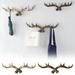 Resin Antler Wall Hanging Hooks | Antique Hanger with Hooks for Coats Jackets Purses Entrance entryway Key Storage Racks Racks for Entry Creative Antler Art