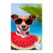 Hidove Poster Decorative Painting Wall Posters Jack Russell Dog on Hammock at the Beach 60x90cm Art Picture Print Modern Family Bedroom Decor Posters