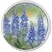 Bluebonnets 4 Pack Absorbent Stone Coasters with Protective Cork Backing Made in The USA Artistic Absorbent Easily Wipes Clean