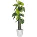 Artificial Faux Vintage Real Touch 7.67 Feet Tall Elephant Ears With Fiberstone Planter Perfect For Indoor/Outdoor Use