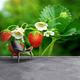 Erdbeergrüne repositionierbare Tapete | Wandbild Erdbeerbusch Foto Vlies Tapete Vlies Tapete Vlies Tapete W#195