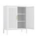 Metal Storage Cabinet with 2 Doors and 2 Adjustable Shelves, Steel Lockable Garage Storage Cabinet, Metal File Cabinet