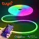 Tuya Smart Life-Bande lumineuse LED néon RVB tube de ULau néon à commande vocale décoration de