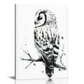 COMIO Owl Wall Art Animal Posters Feather Wall Art Owl Wall Decor Black and White Wall Art Feather Wall Decor Bird Wall Art for Living Room Bedroom Office