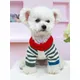 Pull coloré pour chien vêtements pour animaux de compagnie vintage strihearaméricain confort