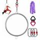 Single/Double Point Lyra Hoop, 17 Inch Small Aerial Hoop for Kids/Adults/Beginners, Mini Stainless Steel Circus Aerial Yoga Hoop for Home Fitness, Loads 330lbs (Color : Double point, Size : 17inch/4