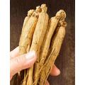 White Ginseng Roots Ginseng Root Ginseng Natural8Years Roots,White Ginseng Root (100 Grams /0.22 lbs) (2)