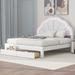 Queen Size Upholstered Platform Bed with Seashell Shaped Headboard, LED Lighting, and 2 Drawers, High-Density Foam Comfort