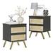 Boho Rattan Nightstand with 2 Drawers, Black Bedside Table with Metal Legs Set of 2