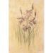 Winston Porter Purple Dream Irises by Cheri Blum Paper, Solid Wood in Indigo | 18 H x 12 W x 1.25 D in | Wayfair 9D62E9F023CB498CB379B02A28F215AF