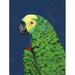 Winston Porter Parrot Head Navy by Pamela Munger Print Paper in Blue/Green | 16 H x 12 W x 1.25 D in | Wayfair DB32C83E467C407E8288E97986A469BC
