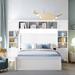 Red Barrel Studio® Rena Bookcase Storage Bed Wood in White | 62.6 H x 86.2 W x 89.6 D in | Wayfair 814C6A08CC7049EEB855DFAC1767AF1A