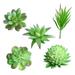 AntiGuyue 5PCS Decorative Mini Assorted Green Plant Faux Artificial Succulent Plants Emulational Cactus Plants for Office Home Table Desk Garden