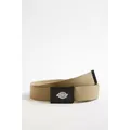 Dickies Khaki Orcutt Belt - Green at Urban Outfitters