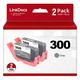 LinkDocs Compatible PFI-300 Gray Ink Cartridges Replacement for Canon PFI300 PFI-300 GY Ink Cartridge Work for Canon imagePROGRAF PRO 300 Printer (2 Pcs Pack Grey)