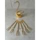 Gold Swan Dessert Fork Holder Stand 6 Forks Kitchen Accents Table Dinner Home Decoration Cutlery Set House Gift Metal