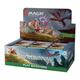 Magic: The Gathering Bloomburrow-Play-Booster-Display – 36 Booster (504 Magic-Karten) (English Version)