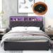 Queen Size Upholstered Platform Bed,Multiple Storage,LED,USB,Drawers
