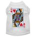 Halloween Pet Dog Cat Shirt Screen Printed Queen Of Hearts Costume